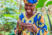 Load image into Gallery viewer, hanging lights