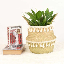 Load image into Gallery viewer, boho basket