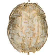 Load image into Gallery viewer, Olson Table Lamp