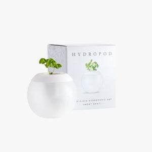 hydroponic system